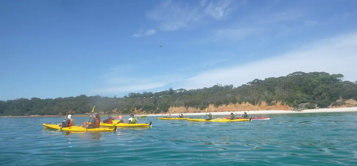 Kayak tours