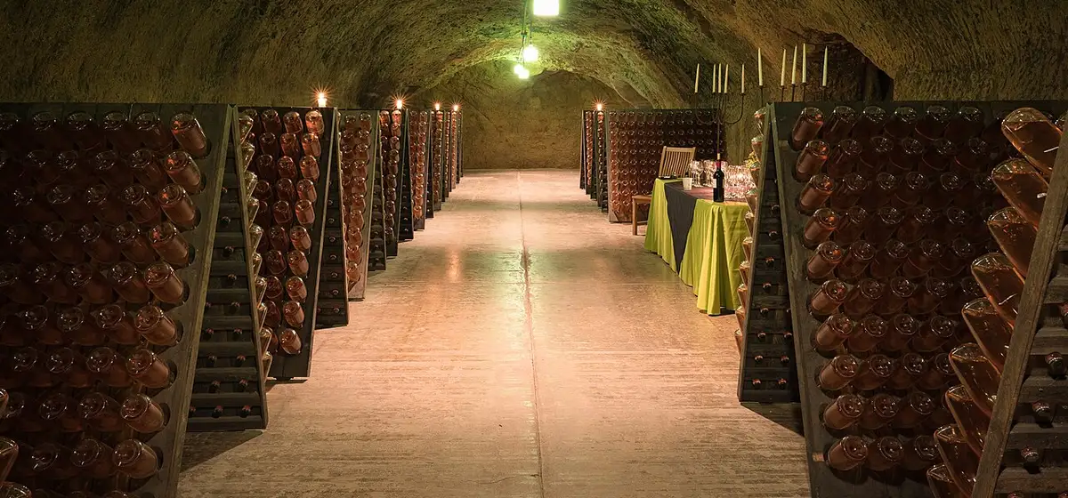 Wine tours